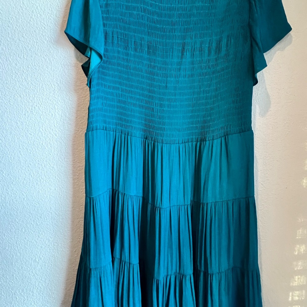 Naked Zebra Teal Maxi Dress